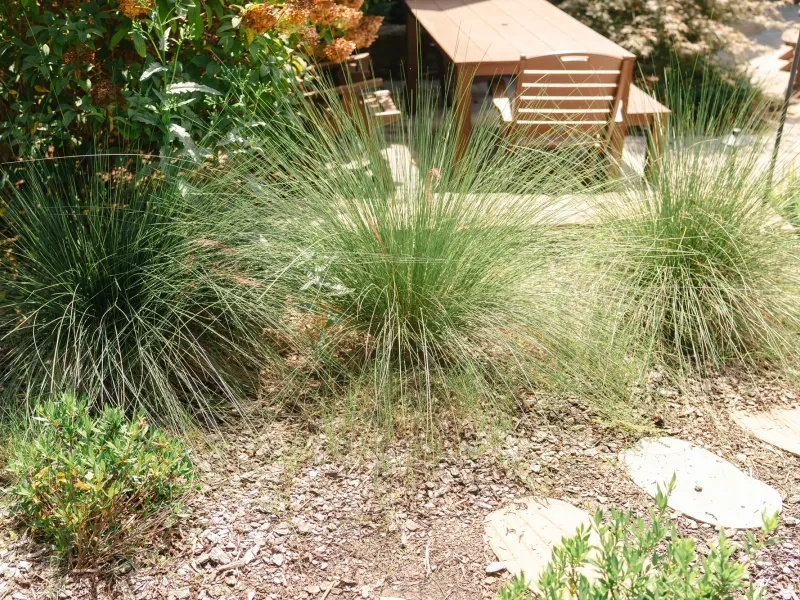 Muhly grass and mixed perennials in a gravel planting bed with flagstone stepping stones leading to an outdoor dining area in Madison, Alabama