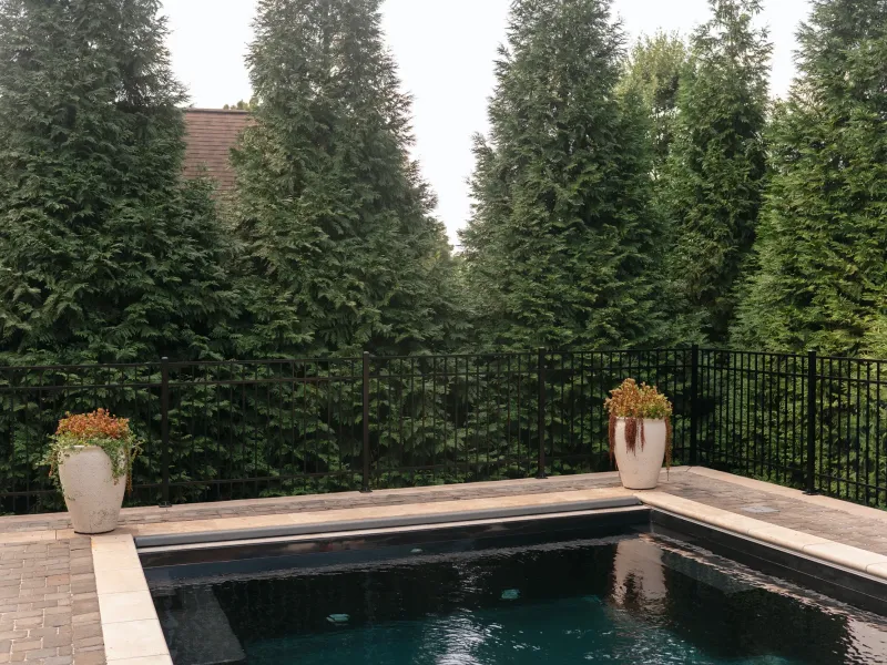Dark-bottom rectangular pool with stone coping and a paver deck, screened by a black aluminium fence and a row of arborvitae in Madison, Alabama
